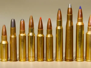 BULLETS